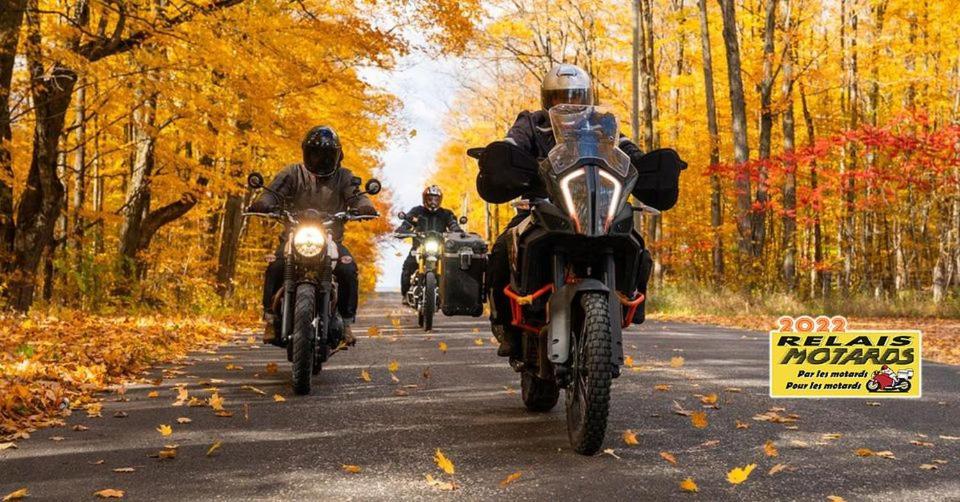 "Le Maloya" Chalets Independants -Chambre Balneo - Relais Motards Лакон Экстерьер фото