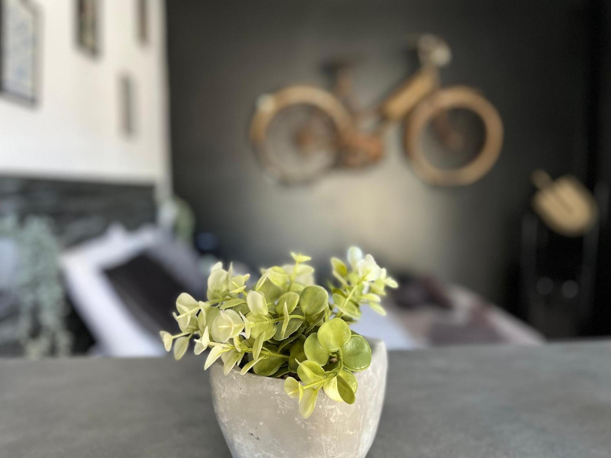 "Le Maloya" Chalets Independants -Chambre Balneo - Relais Motards Лакон Экстерьер фото